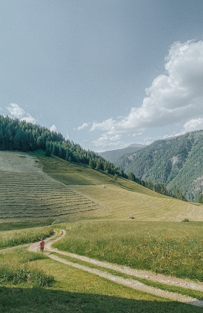 berggasthof-steckholzer-bergbauernhof-heuarbeiten-im-sommer-in-padaun