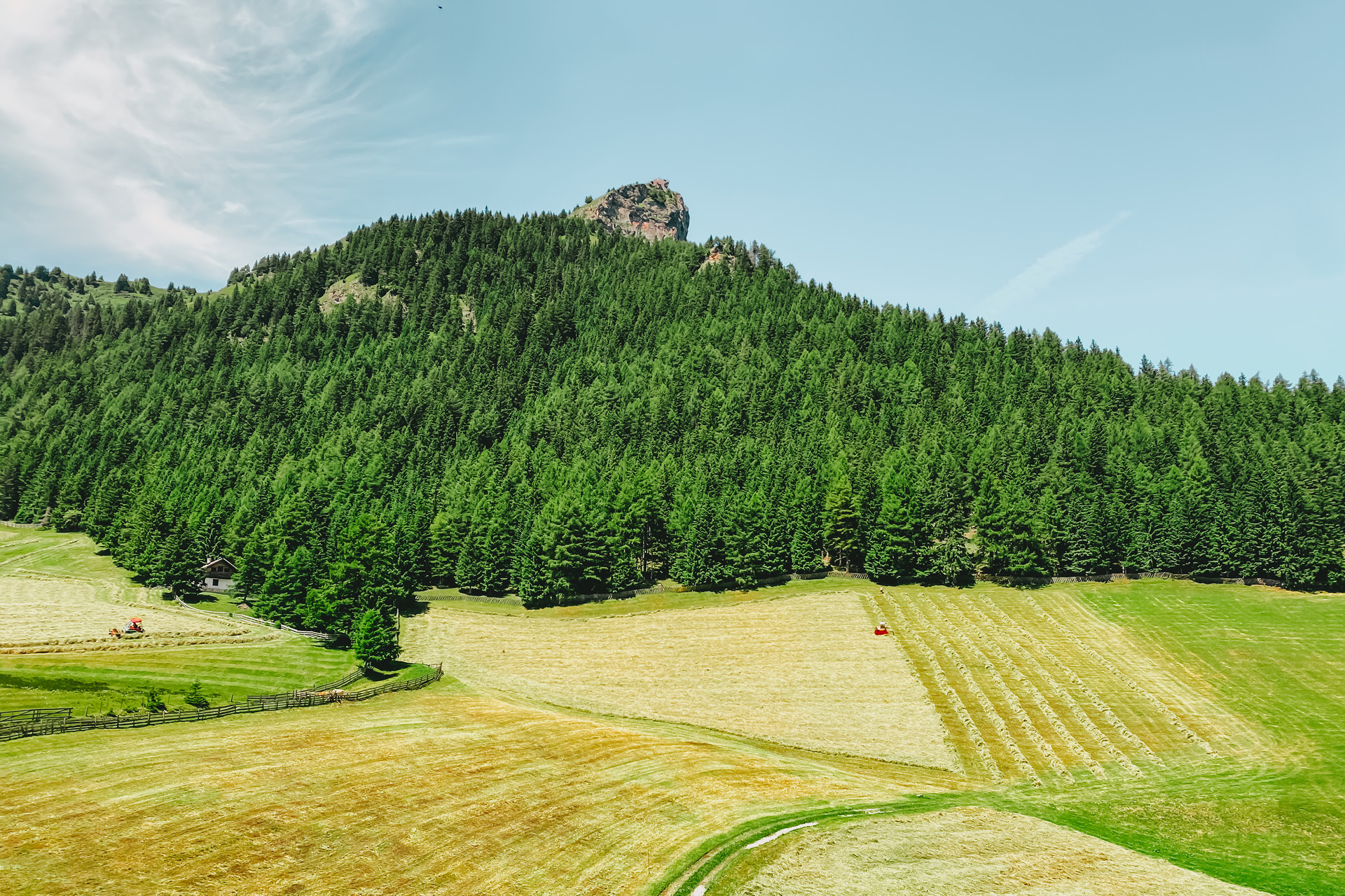 berggasthof-steckholzer-bergbauernhof-sommer-wald-und-wiese-blick-padauner-kogel-1920