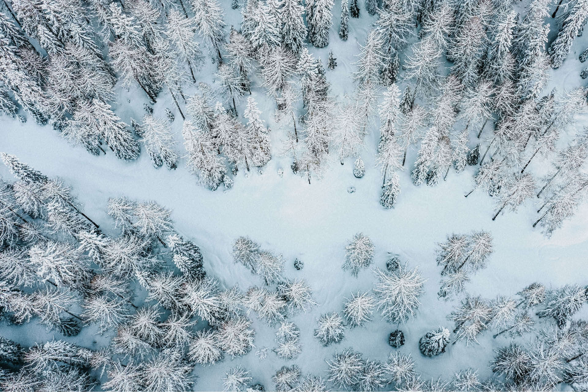 berggasthof-steckholzer-bergbauernhof-winter-landschaft-verschneiter-wald-1920