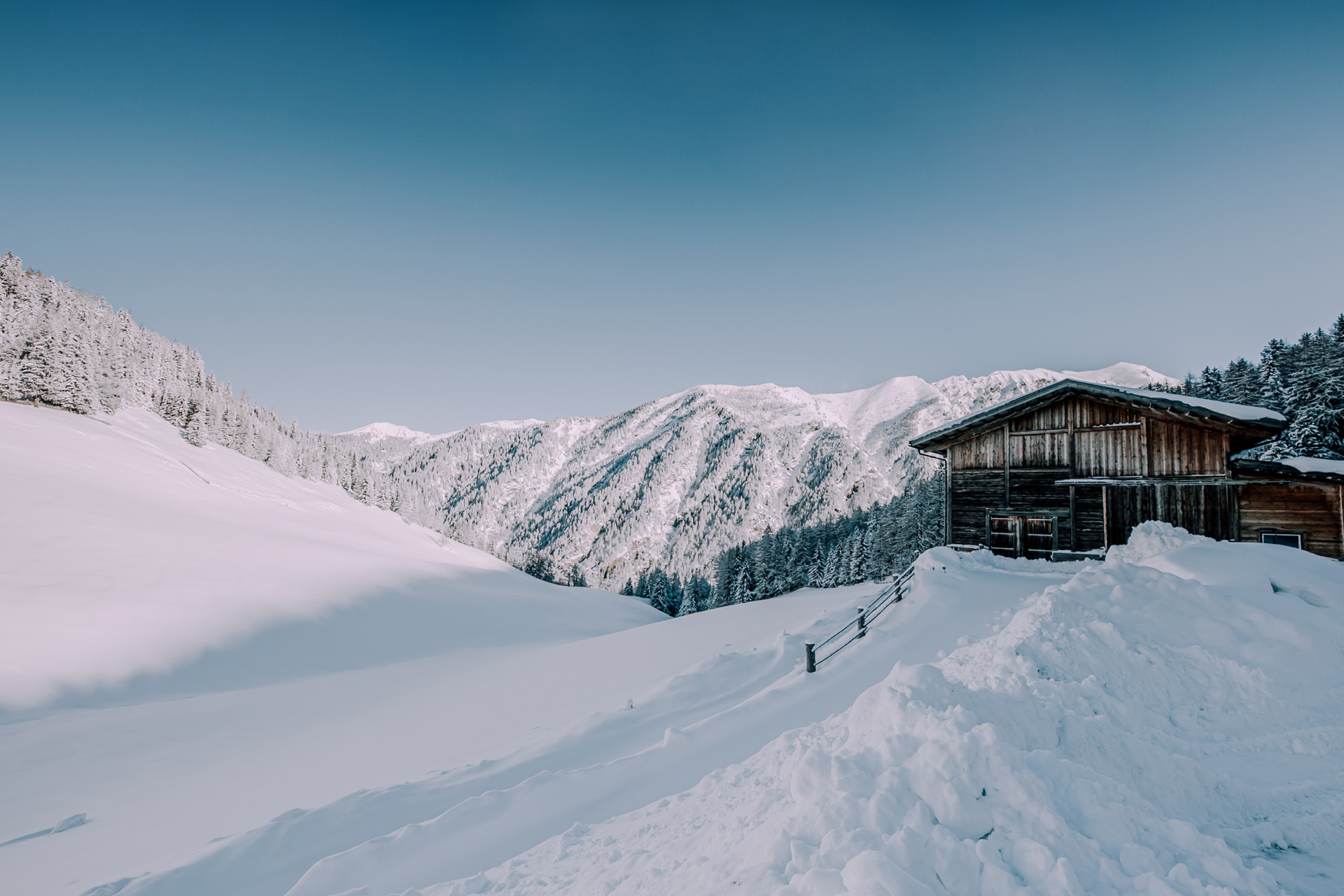 berggasthof-steckholzer-bergbauernhof-winter-landschaft-wald-und-wiese-bergkulisse-1920